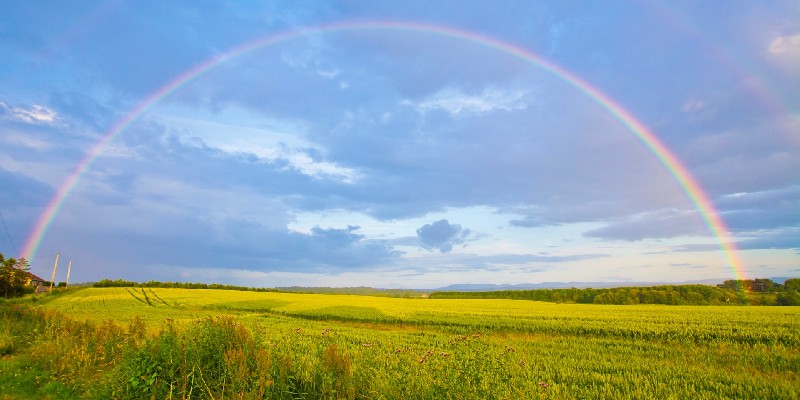 rainbow over meadow