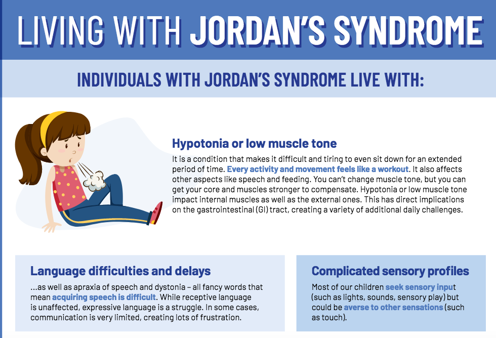 individuals living with jordan's syndrome experience hypotonia, language difficulties, complicated sensory profiles